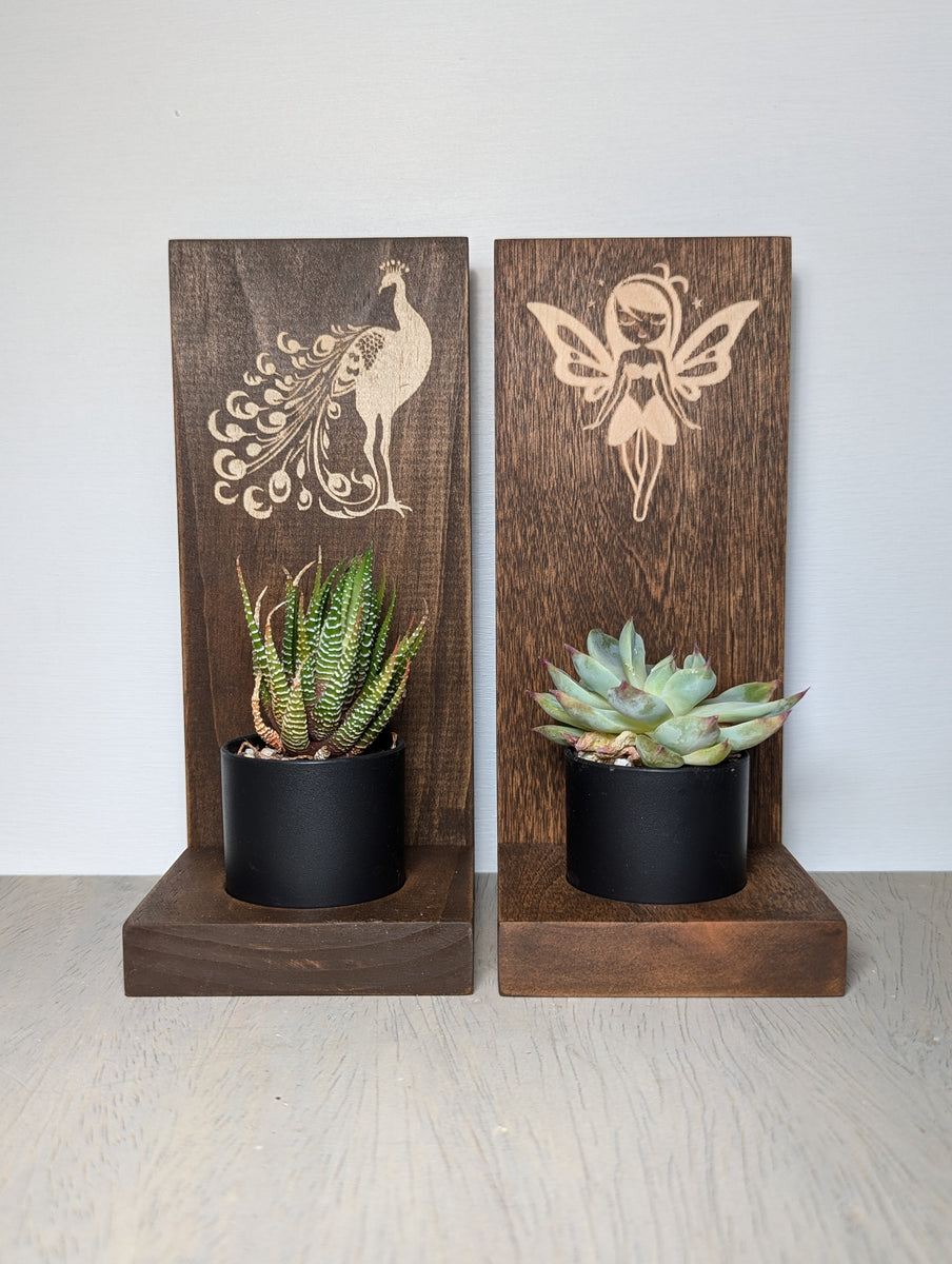 peacock succulent planter Peacock Succulent Planter – CR Crafted