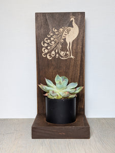 peacock succulent planter Peacock Succulent Planter – CR Crafted