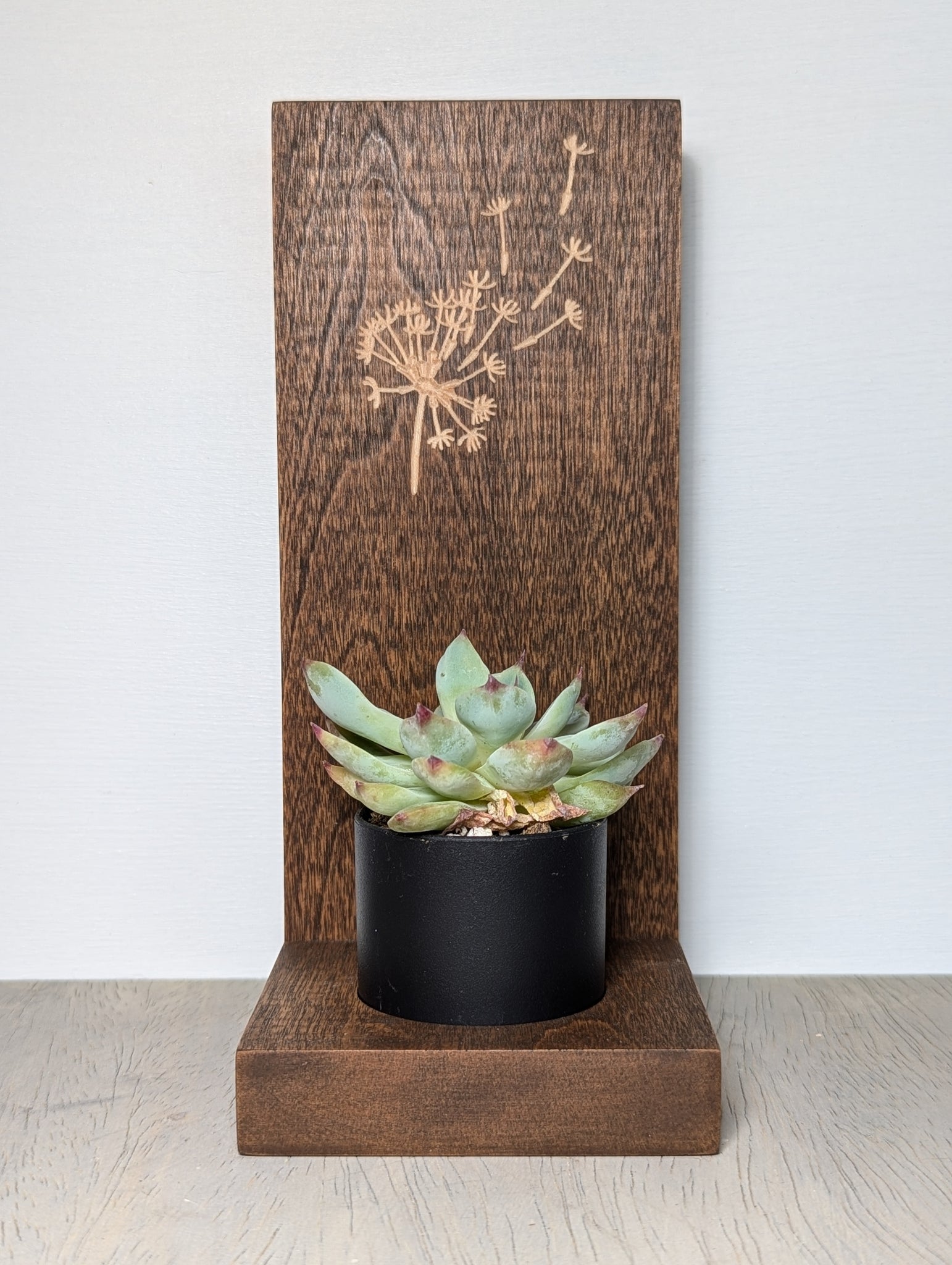 Dandelion Succulent Planter