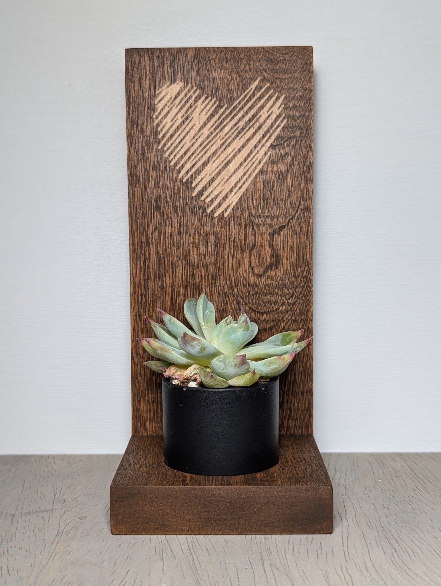 heart succulent planter Sketched Heart Succulent Planter – CR Crafted