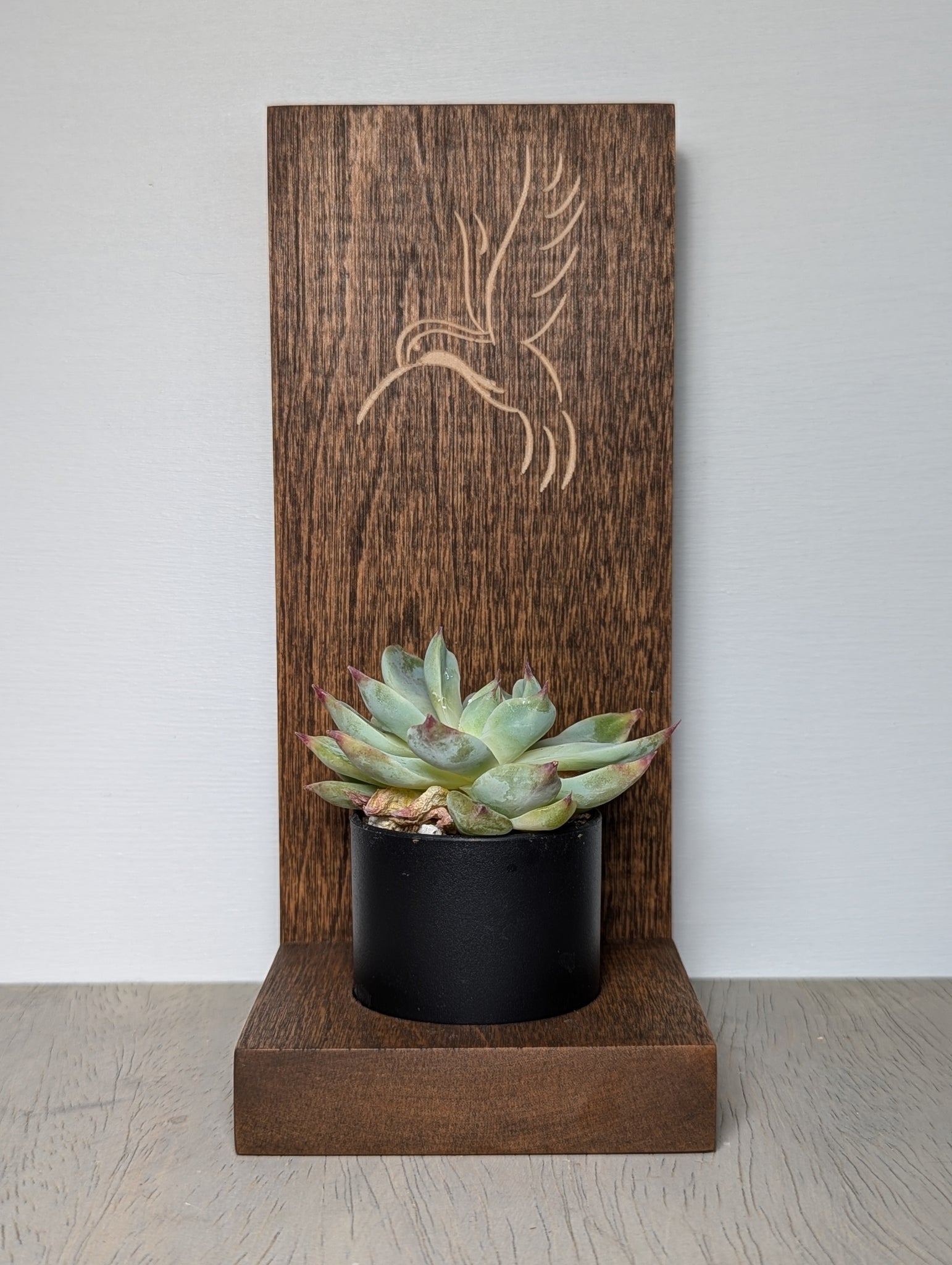 hummingbird succulent plant Hummingbird Succulent Planter – CR Crafted